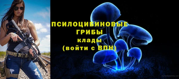 ALPHA PVP Богданович