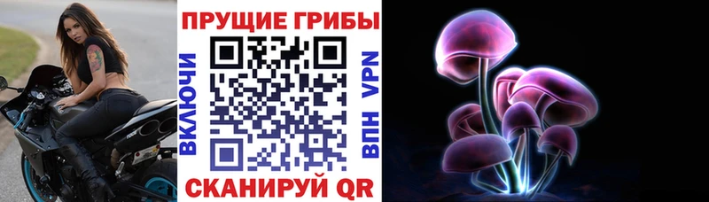 Галлюциногенные грибы Psilocybine cubensis  Волгореченск 